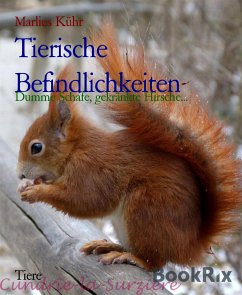 Tierische Befindlichkeiten (eBook, ePUB) - Kühr, Marlies