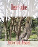 Dear Luke (eBook, ePUB)