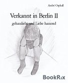Verkannt in Berlin II (eBook, ePUB)