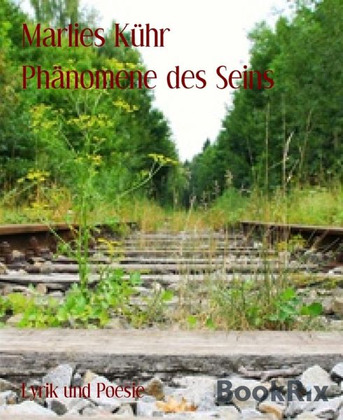 Phänomene des Seins (eBook, ePUB)
