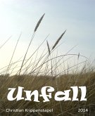 Unfall (eBook, ePUB)