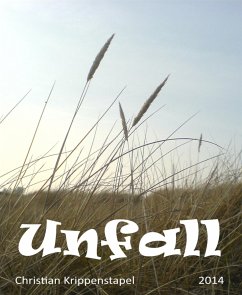 Unfall (eBook, ePUB) - Krippenstapel, Christian