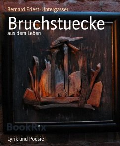 Cover Bruchstuecke (eBook, ePUB)