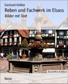 Reben und Fachwerk im Elsass (eBook, ePUB)