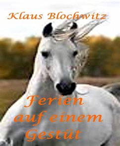 Ferien auf einem Gestüt (eBook, ePUB) - Blochwitz, Klaus