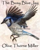 The Busy Blue Jay (eBook, ePUB)