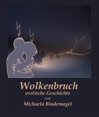 Wolkenbruch (eBook, ePUB)