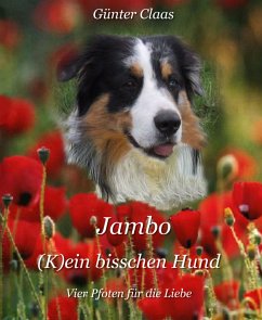 Jambo (K)ein bisschen Hund (eBook, ePUB) - Claas, Günter