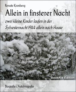 Allein in finsterer Nacht (eBook, ePUB) - Kronberg, Renate