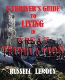 A Thriver's Guide To Living In Great Tribulation (eBook, ePUB)
