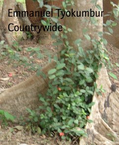 Countrywide (eBook, ePUB) - Tyokumbur, Emmanuel