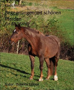 Begegnungen mit schönen Pferden (eBook, ePUB) - Metzger, Klaus