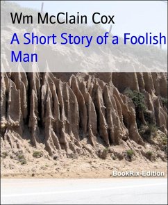 Cover A Short Story of a Foolish Man (eBook, ePUB)
