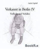 Verkannt in Berlin IV (eBook, ePUB)