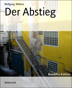 Der Abstieg (eBook, ePUB) - Willems, Wolfgang