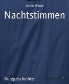 Nachtstimmen (eBook, ePUB)