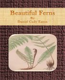 Beautiful Ferns (eBook, ePUB)