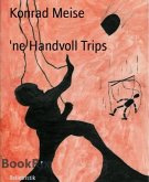 'ne Handvoll Trips (eBook, ePUB)