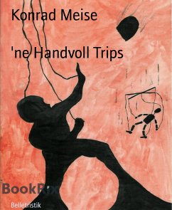 'ne Handvoll Trips (eBook, ePUB) - Meise, Konrad