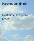 Lichtblicke- Ein neues Leben (eBook, ePUB)