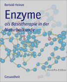 Enzyme (eBook, ePUB)