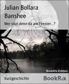 Banshee (eBook, ePUB)