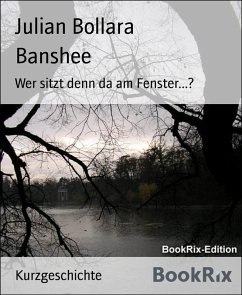 Cover Banshee (eBook, ePUB)