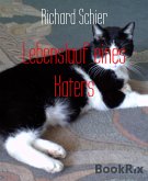 Lebenslauf eines Katers (eBook, ePUB)