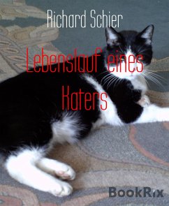 Lebenslauf eines Katers (eBook, ePUB) - Schier, Richard