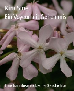 Cover Ein Voyeur mit Geheimnis (eBook, ePUB)