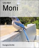 Moni (eBook, ePUB)