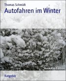 Autofahren im Winter (eBook, ePUB)