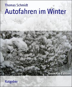 Autofahren im Winter (eBook, ePUB) - Schmidt, Thomas