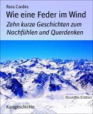 Wie eine Feder im Wind (eBook, ePUB)