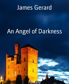 An Angel of Darkness (eBook, ePUB)