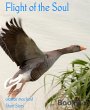 Flight of the Soul (eBook, ePUB) - Bild 1