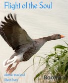 Flight of the Soul (eBook, ePUB)