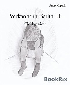 Verkannt in Berlin III (eBook, ePUB) - Orphall, André