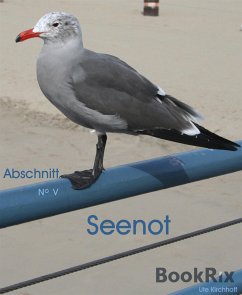 Seenot (eBook, ePUB) - Kirchhoff, Ute