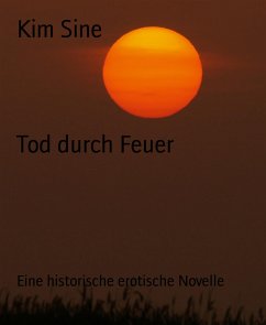 Tod durch Feuer (eBook, ePUB) - Sine, Kim