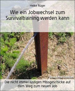 Wie ein Jobwechsel zum Survivaltraining werden kann (eBook, ePUB) - Rüger, Heike