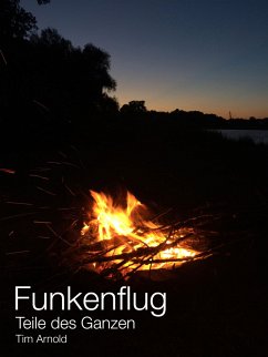 Funkenflug (eBook, ePUB) - Arnold, Tim