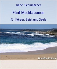 Fünf Meditationen (eBook, ePUB) - Schumacher, Irene
