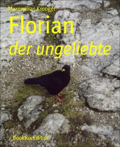 Florian (eBook, ePUB) - Krooger, Maxemilian