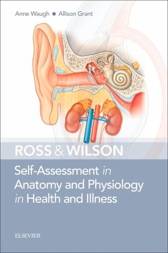 Ross & Wilson Self-Assessment in Anatomy and Physiology in Health and Illness (eBook, ePUB) - Waugh MSc CertEd SRN RNT FHEA, Anne; Grant BSc RGN, Allison