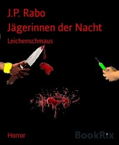Jägerinnen der Nacht (eBook, ePUB) - Rabo, J. P.