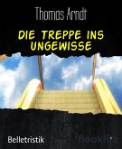 Die Treppe ins Ungewisse (eBook, ePUB)