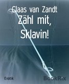 Zähl mit, Sklavin! (eBook, ePUB)