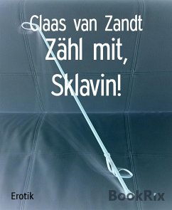 Zähl mit, Sklavin! (eBook, ePUB) - van Zandt, Claas