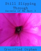 Still Slipping Through (eBook, ePUB)